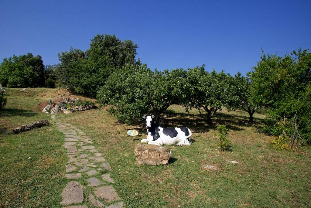 Casa Conti Di Sotto Villa Gavorrano Bagian luar foto